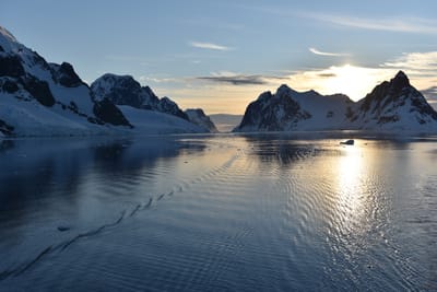 DSC_0773.JPG