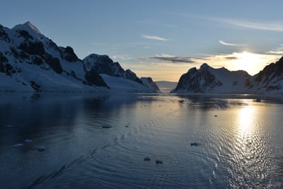 DSC_0775.JPG