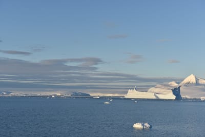 DSC_0795.JPG