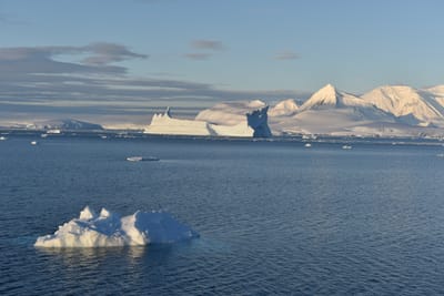 DSC_0796.JPG