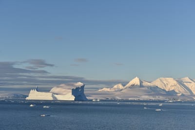 DSC_0797.JPG