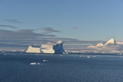 DSC_0798.JPG