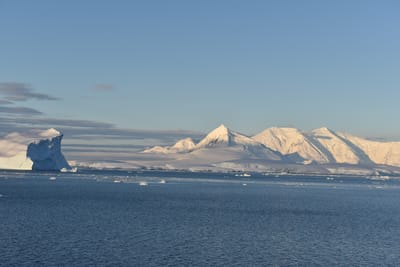 DSC_0799.JPG