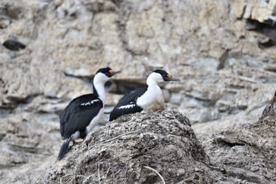 DSC_0361.JPG
