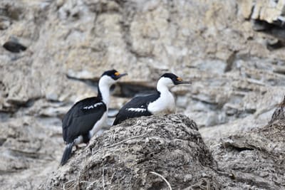 DSC_0362.JPG