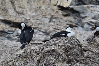 DSC_0363.JPG
