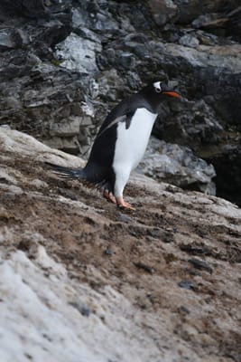 DSC_0364.JPG