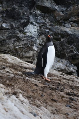 DSC_0365.JPG