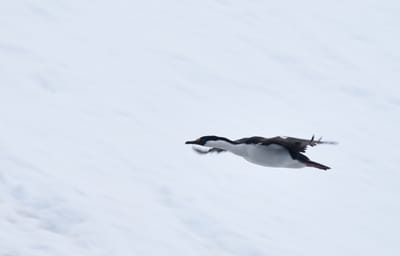 DSC_0368.JPG