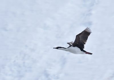 DSC_0369.JPG