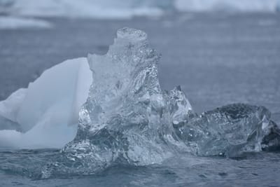 DSC_0376.JPG