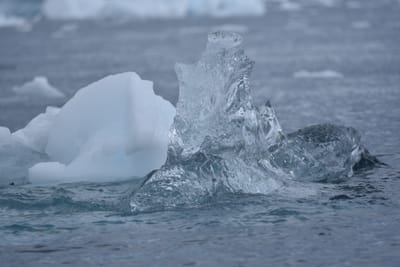 DSC_0378.JPG