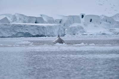 DSC_0385.JPG