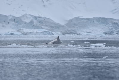 DSC_0389.JPG