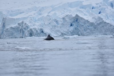 DSC_0392.JPG