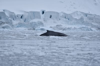 DSC_0399.JPG