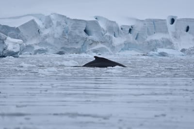 DSC_0400.JPG