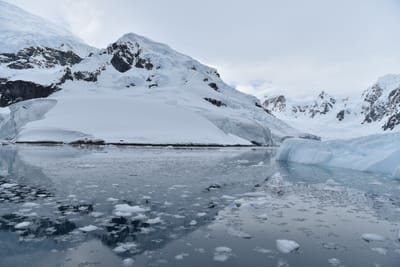 DSC_0402.JPG
