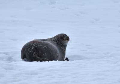 DSC_0406.JPG