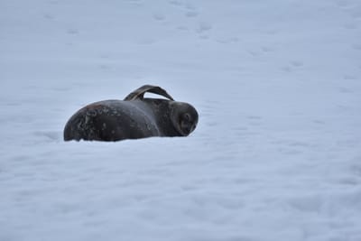 DSC_0411.JPG