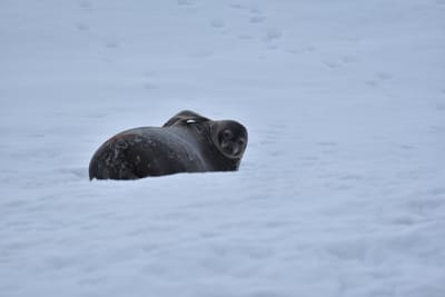 DSC_0413.JPG