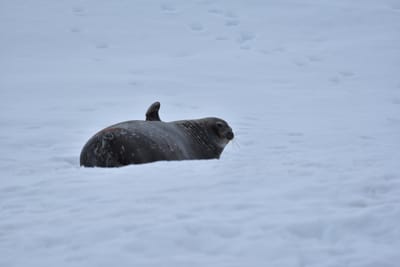 DSC_0414.JPG