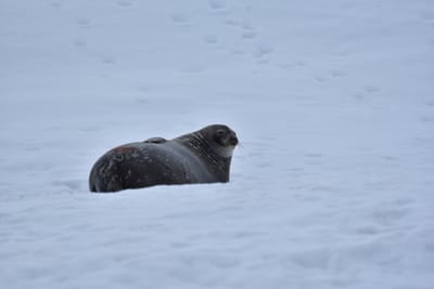 DSC_0416.JPG