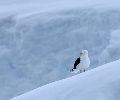 DSC_0417.JPG