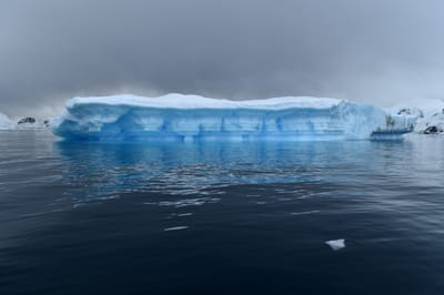 DSC_0432.JPG