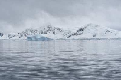 DSC_0440.JPG