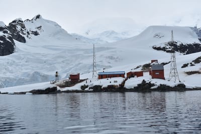 DSC_0442.JPG