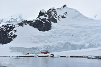 DSC_0443.JPG