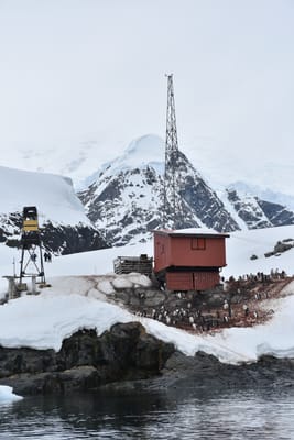 DSC_0445.JPG