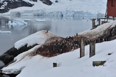 DSC_0446.JPG