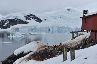 DSC_0447.JPG