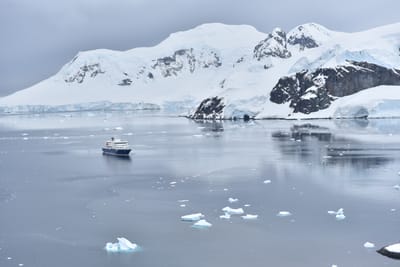 DSC_0475.JPG