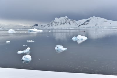 DSC_0482.JPG