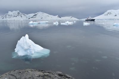 DSC_0485.JPG