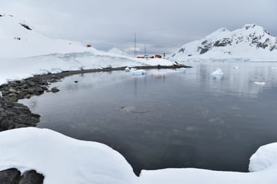 DSC_0489.JPG