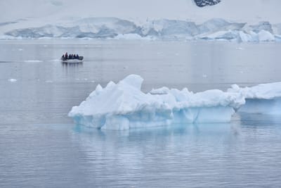 DSC_0494.JPG