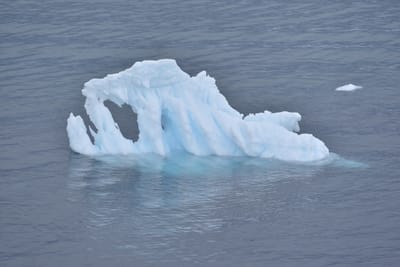 DSC_0503.JPG