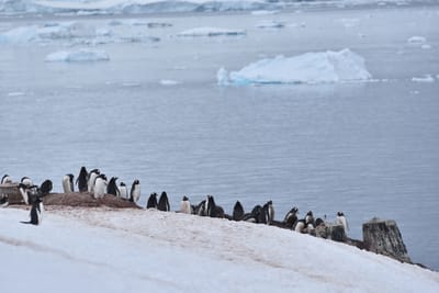 DSC_0504.JPG