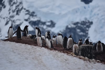 DSC_0505.JPG