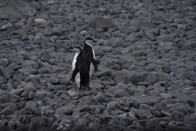DSC_1331.JPG