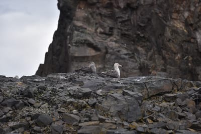 DSC_1335.JPG
