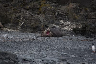 DSC_1337.JPG