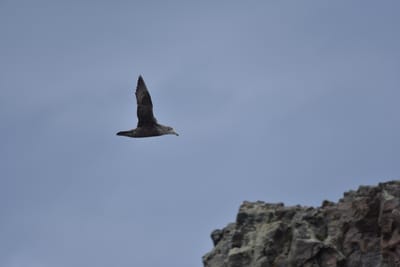 DSC_1341.JPG