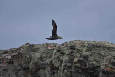 DSC_1342.JPG
