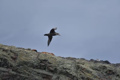 DSC_1343.JPG