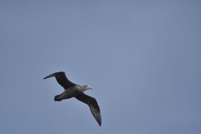 DSC_1344.JPG